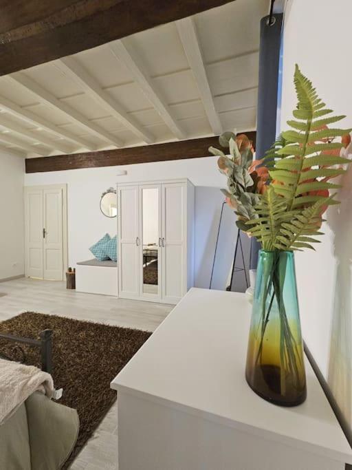 Il Rifugio Di Trip Apartment มานโตวา ภายนอก รูปภาพ